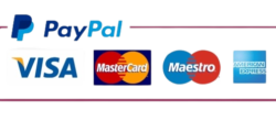 395-3955693_paypal-payment-method-logo-removebg-preview